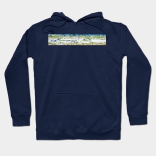 Springbok in the field. Hoodie